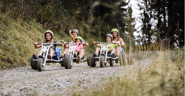 -argento-artistry-aa-736171